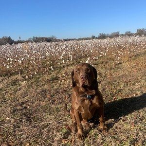 Meet your Posher, Mize